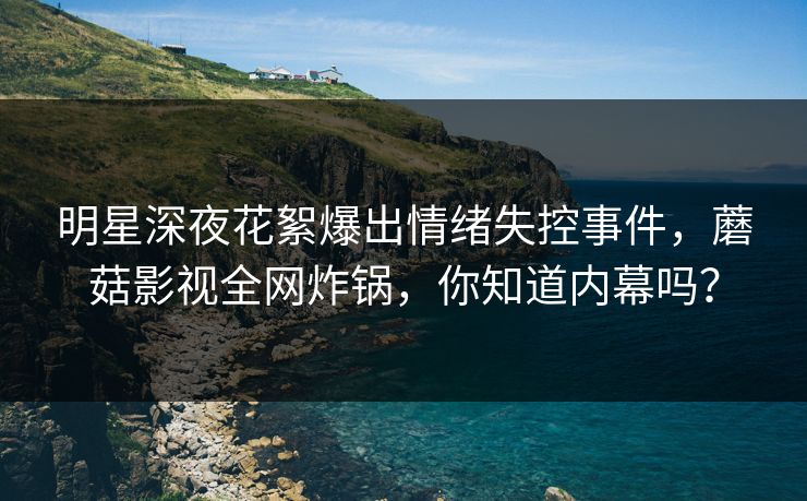 明星深夜花絮爆出情绪失控事件，蘑菇影视全网炸锅，你知道内幕吗？