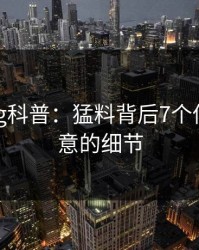 糖心vlog科普：猛料背后7个你从没注意的细节