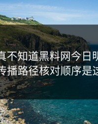 不写你真不知道黑料网今日明星黑料的传播路径核对顺序是这样