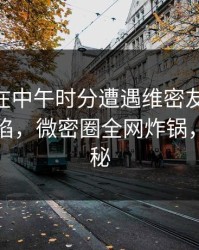 圈内人在中午时分遭遇维密友电脑版 瞬间沦陷，微密圈全网炸锅，详情揭秘