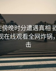 主持人在傍晚时分遭遇真相 欲罢不能，蘑菇影视在线观看全网炸锅，详情点击