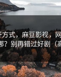 正确打开方式，麻豆影视，网页版和APP差在哪？别再错过好剧（高能预警）
