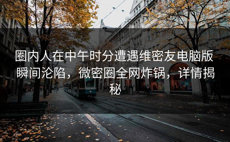 圈内人在中午时分遭遇维密友电脑版 瞬间沦陷，微密圈全网炸锅，详情揭秘
