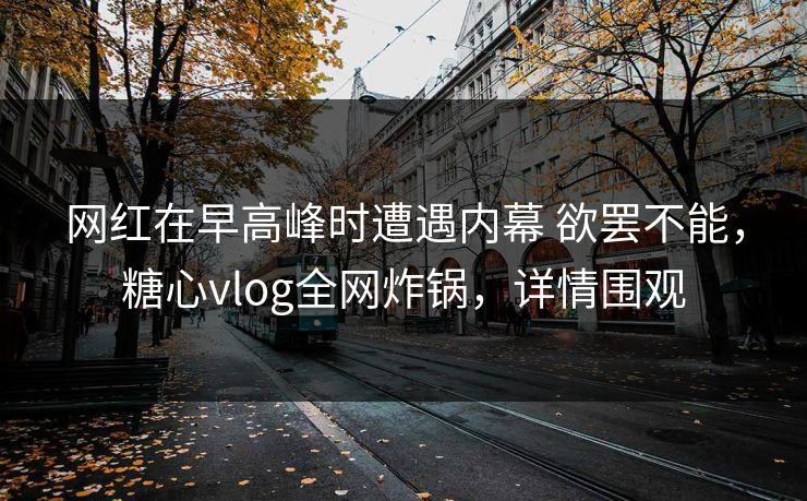 网红在早高峰时遭遇内幕 欲罢不能，糖心vlog全网炸锅，详情围观