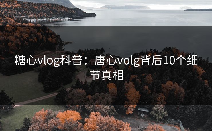 糖心vlog科普：唐心volg背后10个细节真相